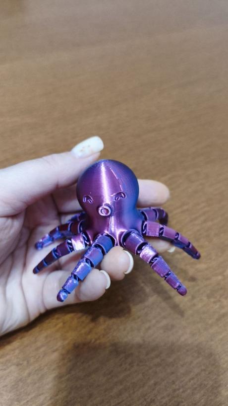 Oktopus flexi,
