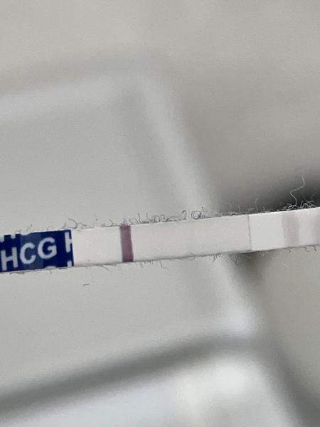 Rozpoznanie tehotenstva po transfere embrya