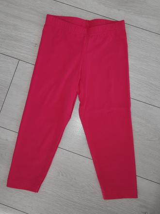 Leginy tristvrtove, slovenka,122