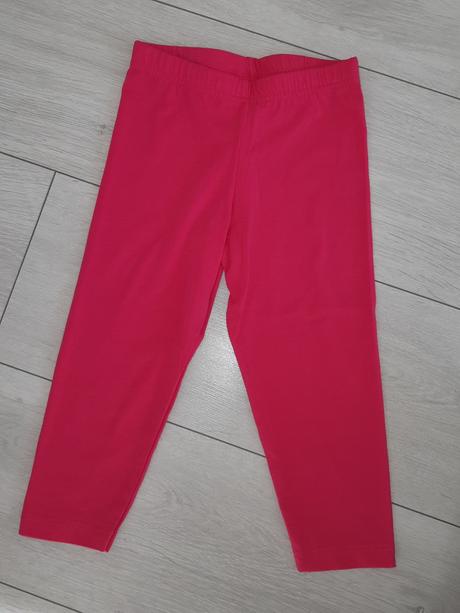 Leginy tristvrtove, slovenka,122