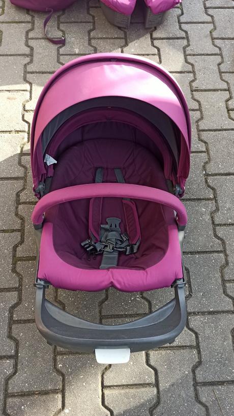 Stokke purple, stokke,stokke xplory