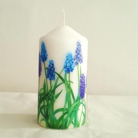 Jarná sviečka "modricový záhon", 