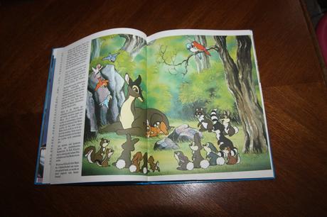 Disney knihy v nemčine, 