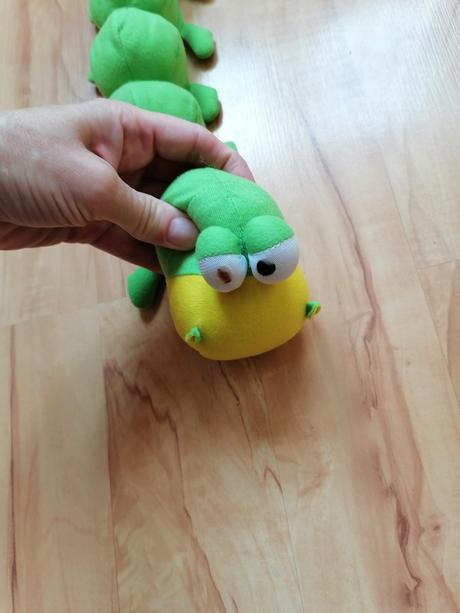 Húsenica - stonozka, 