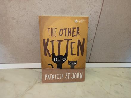 Patricia st john - the other kitten,
