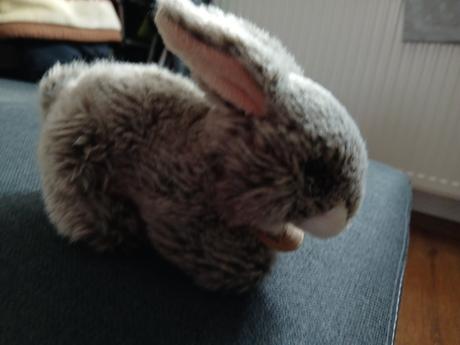 Plysovy zajacikovia rappa, 