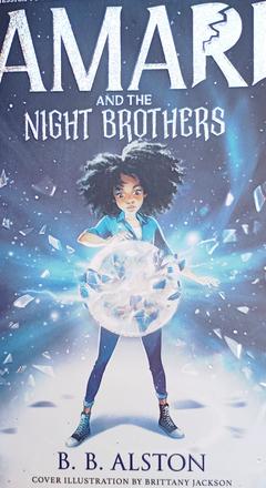 Kniha amari and the night brothers,