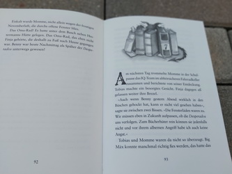 Kniha v nemčine tajomstvo účtovníka,