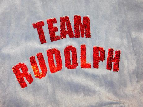 Premieňacia chlpátková mikina h&m 146/152, h&m,146