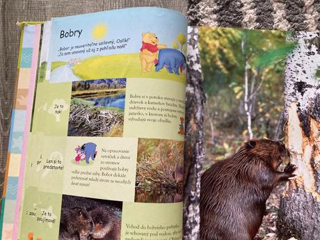 Moja prvá encyklopédia zem, 