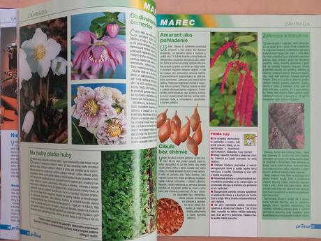 Receptár prima nápadov 2 - sk jazyk, vydanie 2004,