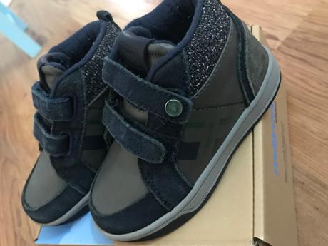 Mayoral v.23, mayoral,23