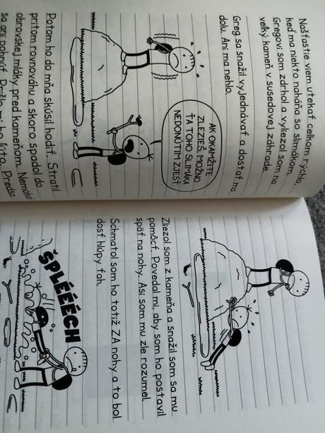 Denník odvážneho bojka, 