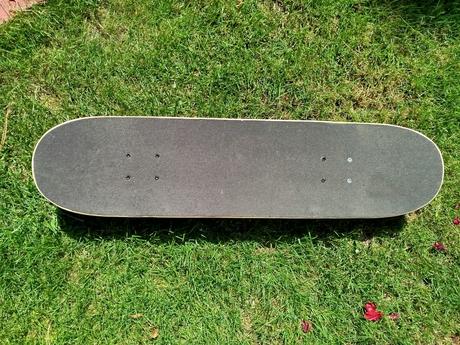 Skateboard, 