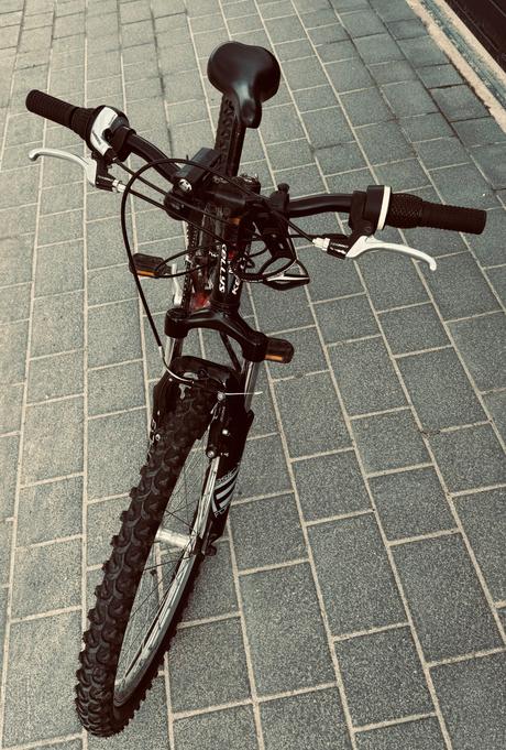 Kellys 24, kellys,24