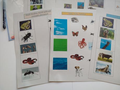 Montessori aktivity, 