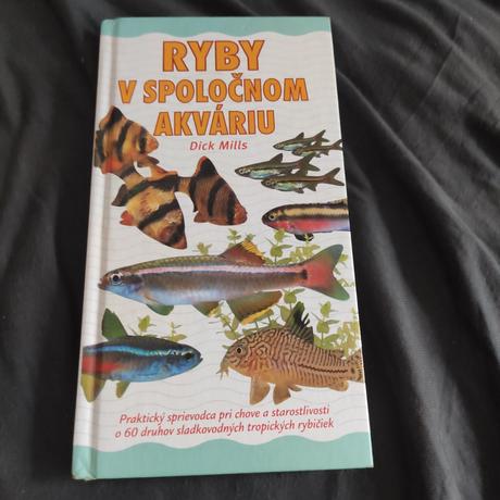 Ryby v spoločnom akváriu, 