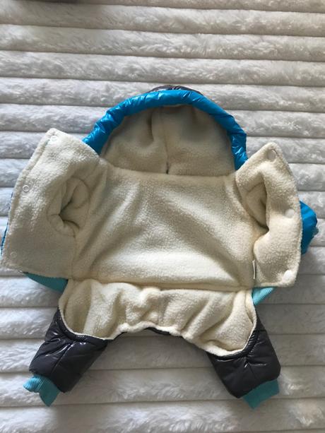 Oblecenie pre psika, 