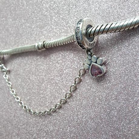 Bezpečnostná retiazka labka, 