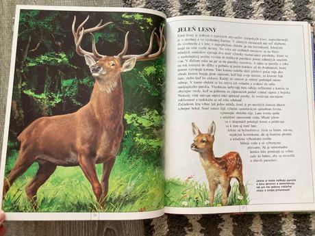 Zvieratá európy-prvé vyd.1997, 