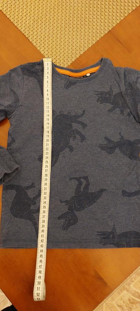 Pyžamo s dinosaurami, next,110