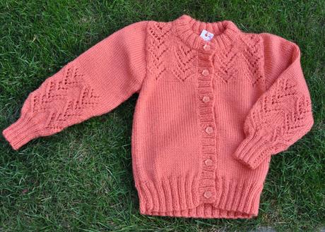 Ručná práca - marhuľkový sveter, 104