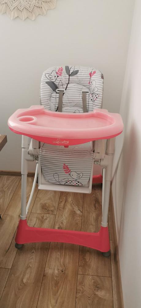 Jedálenská stolička, baby design