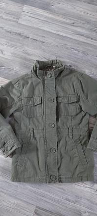 Kabatik, palomino,116