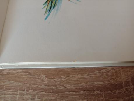 Kniha-mam básničku na jazýčku, 