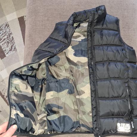 Vesta, chapter young,146