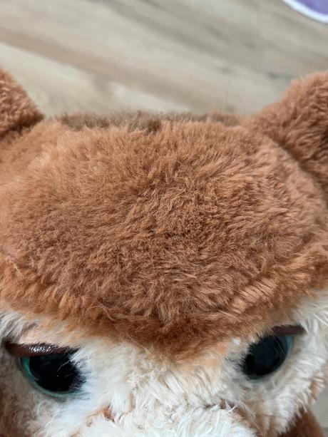 Cubby interaktívny medvedík, 