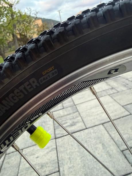 Bicykel, dema,24