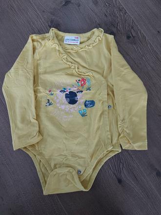 Body, coccodrillo,74