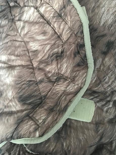 Fusak lodger, lodger