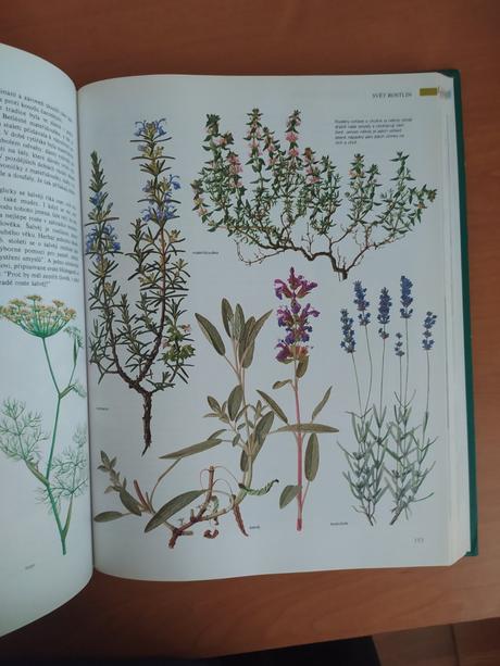 Abc prírody - svet v otázkach a odpovediach (1997), 