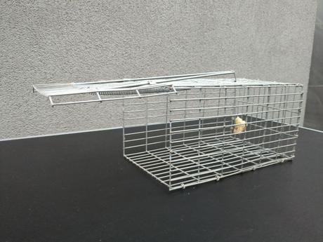 Pasca na potkany celokovová,