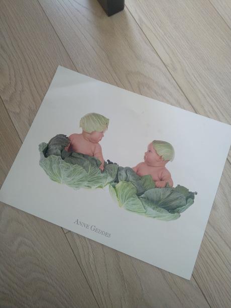 Fotografie anne geddes, 