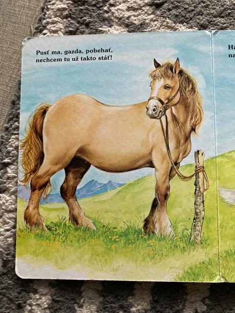 Moje najmilšie zvieratká na dvore (leporelo),