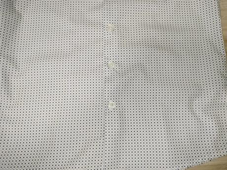 Kosela elegantna, 128