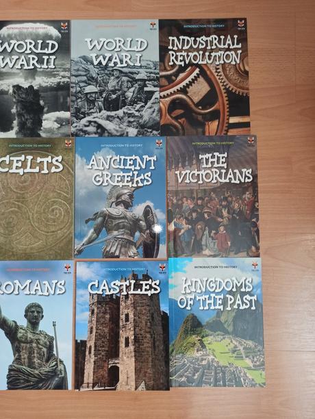 Introduction to history pb,