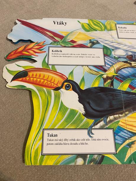 Krásne leporelo zvieratá džungle judy nayer,