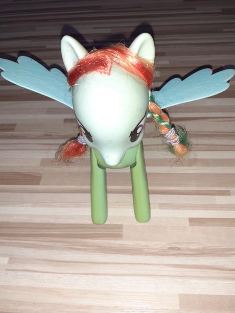 Rainbow dash pony zs.,