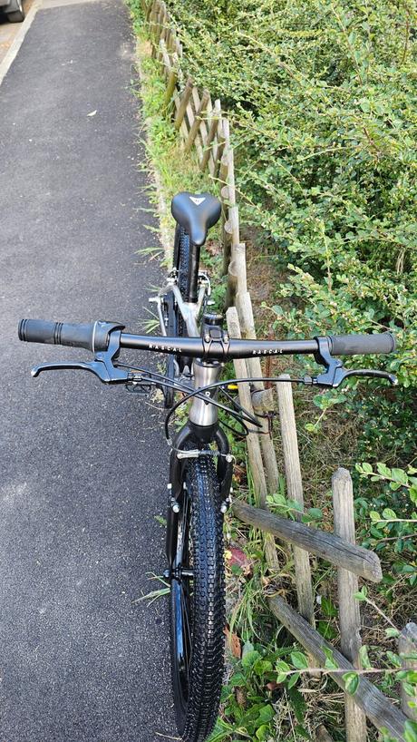 Detský bicykel rascal 20, 20