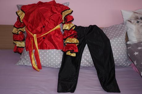 Karnevalový kostým, 