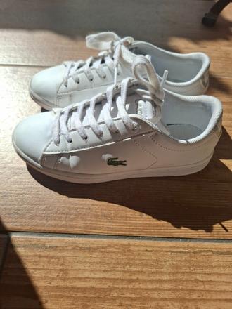 Tenisky lacoste, lacoste,31