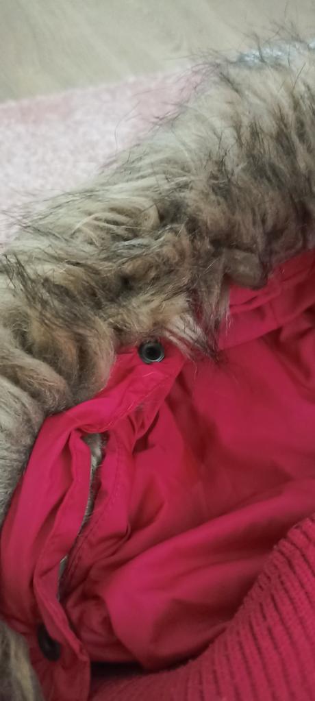 Zimná bunda, palomino,128