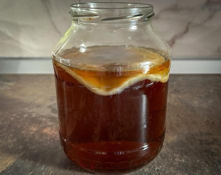 Kombucha - scoby huba, nálev a návod,