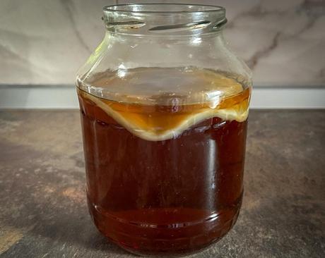 Kombucha - scoby huba, nálev a návod, 