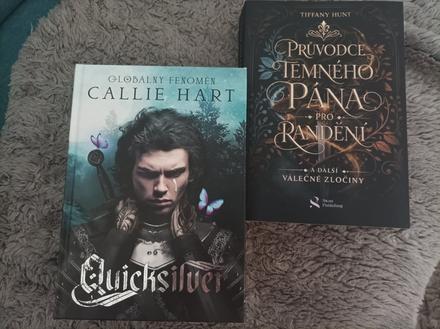Průvodce temného pána pro randení,