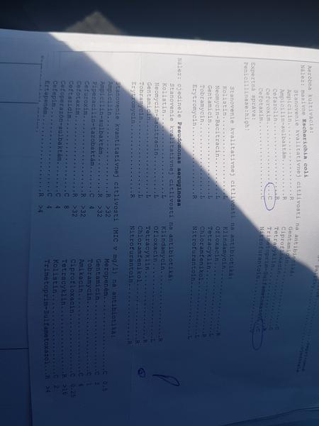 Trojročná dcéra má E.coli. Musí sa preliečiť antibiotikami?